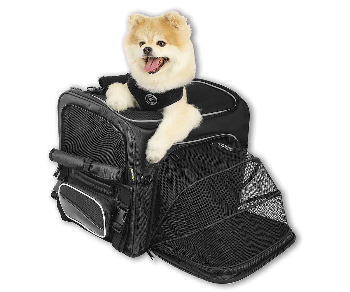 Rover Pet Carrier Cruiser / Touring